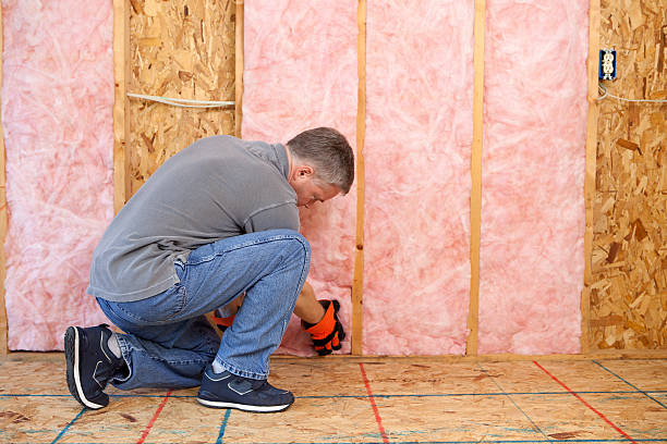 Best Insulation Materials and Products in Burlington, WA