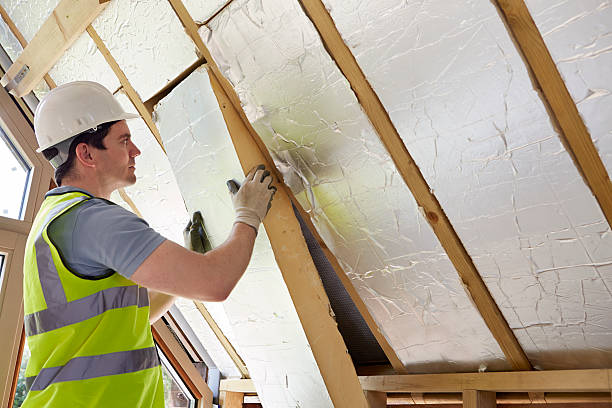 Best Insulation Installation Services in Burlington, WA
