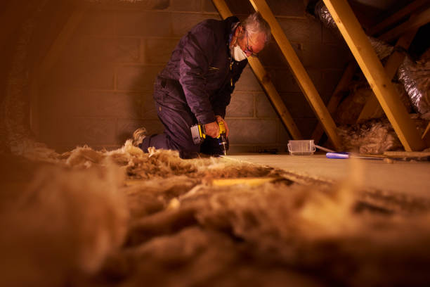 Best Insulation Maintenance and Repair in Burlington, WA